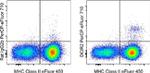 Dendritic Cell Marker DCIR2 Antibody in Flow Cytometry (Flow)