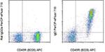 IgD Antibody in Flow Cytometry (Flow)