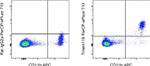 Tmem119 Antibody in Flow Cytometry (Flow)