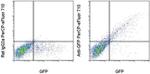 GFP Antibody in Flow Cytometry (Flow)