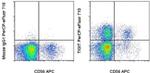 TIGIT Antibody in Flow Cytometry (Flow)