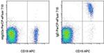 IgD Antibody in Flow Cytometry (Flow)