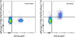 Phospho-PLCG2 (Tyr759) Antibody in Flow Cytometry (Flow)