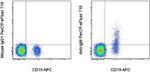 IgM Antibody in Flow Cytometry (Flow)