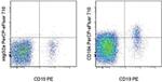 CD184 (CXCR4) Antibody in Flow Cytometry (Flow)