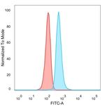 L-Myc/MYCL1 (Transcription Factor) Antibody in Flow Cytometry (Flow)