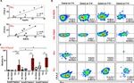 CD152 (CTLA-4) Antibody in Flow Cytometry (Flow)