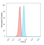 Myogenin/Myf-4 (Skeletal Muscle Marker) (Transcription Factor) Antibody in Flow Cytometry (Flow)