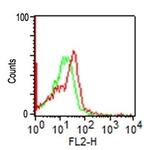 CD56/NCAM1 (Neuronal Cell Marker) Antibody in Flow Cytometry (Flow)