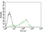 Nucleolin Antibody in Flow Cytometry (Flow)