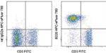 CD45R (B220) Antibody in Flow Cytometry (Flow)