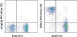 CD90.2 (Thy-1.2) Antibody in Flow Cytometry (Flow)