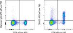 CD103 (Integrin alpha E) Antibody in Flow Cytometry (Flow)