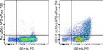 CD115 (c-fms) Antibody in Flow Cytometry (Flow)