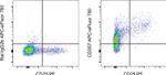 CD357 (AITR/GITR) Antibody in Flow Cytometry (Flow)