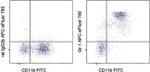 Ly-6G/Ly-6C Antibody in Flow Cytometry (Flow)