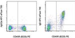 IgD Antibody in Flow Cytometry (Flow)