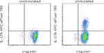 IL-17A Antibody in Flow Cytometry (Flow)