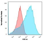 Neurofilament Antibody in Flow Cytometry (Flow)