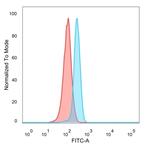 NEUROD2 (Neurogenic Differentiation 2) (Transcription Factor) Antibody in Flow Cytometry (Flow)