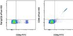 CD8b Antibody in Flow Cytometry (Flow)