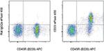 CD23 Antibody in Flow Cytometry (Flow)