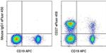 CD27 Antibody in Flow Cytometry (Flow)