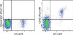 CD32 Antibody in Flow Cytometry (Flow)