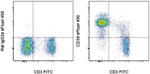 CD38 Antibody in Flow Cytometry (Flow)