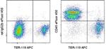 CD45 Antibody in Flow Cytometry (Flow)