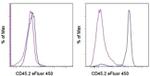 CD45.2 Antibody in Flow Cytometry (Flow)