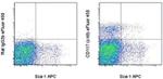 CD117 (c-Kit) Antibody in Flow Cytometry (Flow)