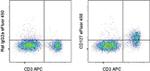 CD127 Antibody in Flow Cytometry (Flow)