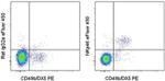 CD335 (NKp46) Antibody in Flow Cytometry (Flow)