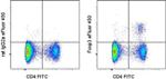 FOXP3 Antibody in Flow Cytometry (Flow)