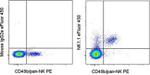 NK1.1 Antibody in Flow Cytometry (Flow)