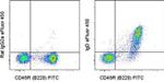 IgD Antibody in Flow Cytometry (Flow)