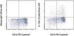 IL-12/IL-23 p40 Antibody in Flow Cytometry (Flow)