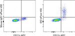 IDO Antibody in Flow Cytometry (Flow)