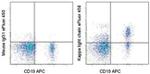 Kappa Light Chain Antibody in Flow Cytometry (Flow)