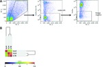 CD326 (EpCAM) Antibody in Flow Cytometry (Flow)