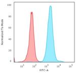 Nucleophosmin (Acute Myeloid Leukemia Marker) Antibody in Flow Cytometry (Flow)