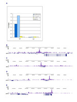 TBP Antibody in ChIP-Sequencing (ChIP-seq)