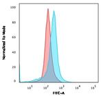 CD73 (Immuno-Oncology Target) Antibody in Flow Cytometry (Flow)