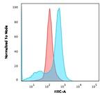 CD73 (Immuno-Oncology Target) Antibody in Flow Cytometry (Flow)