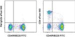 CD4 Antibody in Flow Cytometry (Flow)