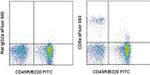 CD8a Antibody in Flow Cytometry (Flow)