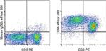 CD38 Antibody in Flow Cytometry (Flow)