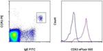 CD63 Antibody in Flow Cytometry (Flow)