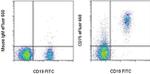 CD75 Antibody in Flow Cytometry (Flow)